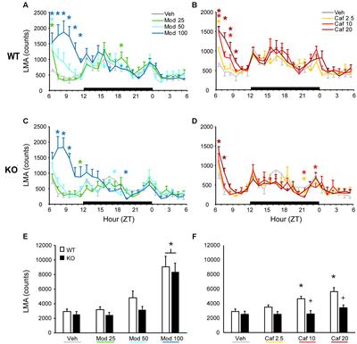 Deletion of Trace Amine-Associated Receptor 1 Attenuates Behavioral Responses to Caffeine